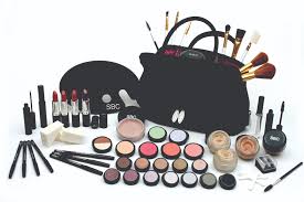 sbc makeup kit for nvq students