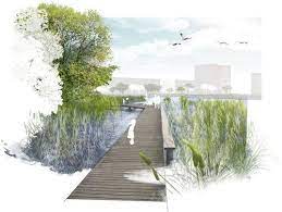 This video was one of the first videos that i came through as i was. Realgrun Landschaftsarchitekten Aspern Seepark Divisare By Europaconcor Landscape Architecture Design Landscape Architecture Drawing Architecture Rendering