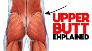 These two exercises are arguably the best ones there are for glute. Unlock Your Glutes What You Need To Know About The Gluteus Medius Youtube