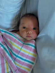 Summer in NYC 🏙️