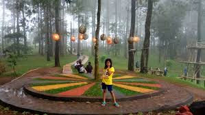 Hewan ini mempunyai ukuran yang bervariasi yaitu antara 16 mm sampai ukuran 35 cm dan biasanya ditemukan perairan tropis dan menengah. 10 Poinberikut Ini Ciri Ciri Lagu Wajib Kecuali A Lirik Lagu Wajib Bertujuan Untuk Menanamkan Brainly Co Id