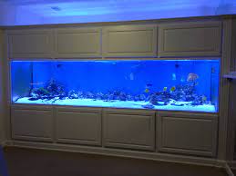 It was designed and mostly built by bill wann, a natural born inventor. 1000 Gallon Fish Tank 1000 Gallon Aquarium From Seaquatic Aquariums