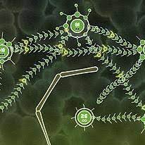 Tentacle Wars The Purple Menace Free Online Game On Miniplay Com