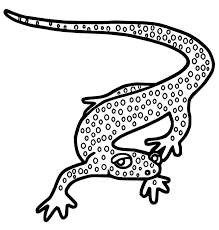 Show your kids a fun way to learn the abcs with alphabet printables they can color. Appalachian Salamander Coloring Page Free Printable Coloring Pages For Kids
