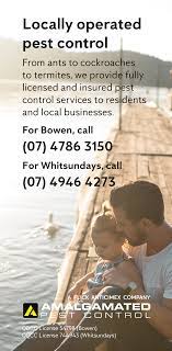 Expert pest controllers carry out the comprehensive process of pest control. Amalgamated Pest Control Mywhitsunday