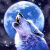 Wolf wallpapers for your pc, android device, iphone or tablet pc. 1