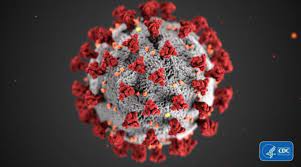 State Reports Fewest New Cases Since Covid 19 Initial March 2020 Surge Coronavirus Tribdem Com