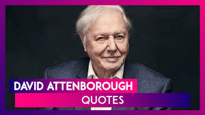 Enjoy the top 142 famous quotes, sayings and quotations by david attenborough. David Attenborough Quotes Popular Sayings By The National Treasure As He Turns 94 Youtube