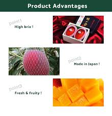 This easy method shows how to grow a mango plant from seed using a mango from the grocery store. Special Breed High Quality Japanese Miyazaki Fresh Mango For Wholesale Buy Fresh Mango Mango Miyazaki Japanese Mango Seed Product On Alibaba Com