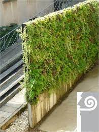 canevaflor mur vegetalise antibruit laureat decibel d argent 2011 devis gratuit sur greenvivo mur vegetal exterieur mur vegetalise mur vegetal