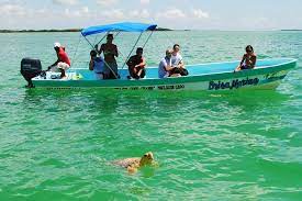 Explore the unique sian ka'an wetland in mexico with a sian ka'an tour from tulum. In Kleiner Gruppe Sian Ka An Biospharenreservat Von Tulum 2021
