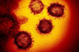 Begitu Mudah Menyebar Ini Yang Dilakukan Virus Corona Pada Tubuh Pasien Halaman All Kompas Com