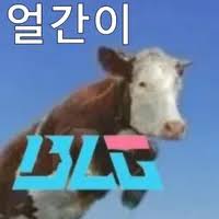 [잡담] 어이 얼간이 blg 우리는 간다 | 인스티즈
