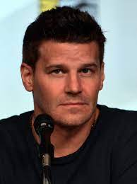 Who plays booth in bones. David Boreanaz Wikipedia