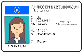 Was kostet der neue führerschein? Das Alles Steht Im Fuhrerschein Fuhrerscheine De