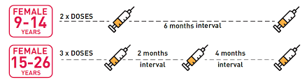 Public health education on cervical. Singapore Vaccine Schedule Singapore National Immunisation Schedule Nais Ncis Find Out How Much It Cost To Get Travel Vaccines At Dewi Ilmu