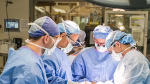 We're wondering what kind of pay he can expect once he graduates from a fellowship does anyone know what a surgical oncologist who graduates from a tier 1 or tier 2 fellowship can expect to make (w/o bonus)? Fellowships Department Of Surgery Vcu School Of Medicine