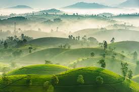 We sure live in a big, beautiful world. The Best Entries So Far 2019 Sony World Photography Awards World Photography Organisation