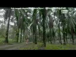 Here on this page, you can see a collection of suri videos. Suri Ram Episod 10 Youtube