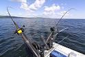 Salmon downrigger rods