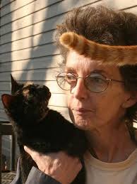 Cat rescuer seeks rescue of her own