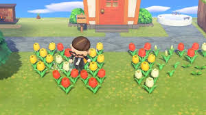How to breed flowers in animal crossing new horizons. How To Create Hybrid Flowers In Animal Crossing New Horizons