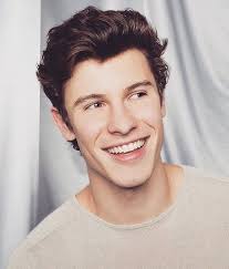 Pin van Eden Brooks op Shawn mendes♥️