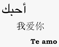 Seadanya aku 2020 episod 28. I Love You In Arabic Love You Mr Arrogant Forever Quotes Love You Forever In Arabic Hd Png Download Kindpng