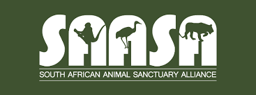 Saasa Monkeyland Birds Of Eden Jukani Wildlife Sanctuary Monkeyland Birds Of Eden Jukani At Saasa Plett Tourism Accommodation Events Festivals Restaurants And Activities In Plettenberg Bay