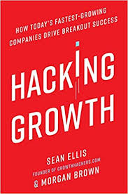 Sean Ellis Hacking Growth Audiobook