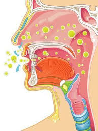 Common Ear Nose And Throat Complaints Everyday Health