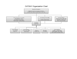 Catsny Organization Chart Template Pdfsimpli