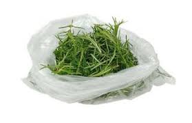 كيف ي شرب إكليل الجبل rosemary tea rosemary health
