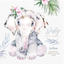Watercolor Elephant Little Animals Clipart Babies Portrait Etsy Watercolor Elephant Animal Clipart Baby Clip Art