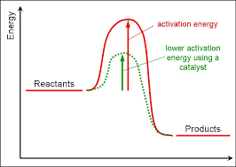 Customer Activation Curve. A Business Tool Imported From Chemistry | By  Guilherme Paiva | Frontiers | Medium