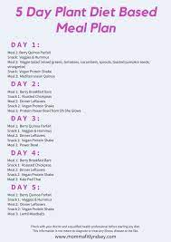 Plant Based Diet On A Budget For Beginners Momma Fit Lyndsey Plant Based Meal Planning Plant Diet Plant Based Diet Meal Plan