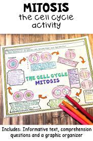 New body (somatic) cells are formed by mitosis. Mitosis Cell Cycle Teach Your Grade 6 7 And 8 Science Students About Inter Biology Classroom Cell Cycle Cell Cycle Activity