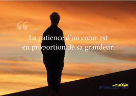 La patience est l'aptitude d'un individu à se maîtriser face à une attente, à rester calme dans une situation de tension ou face à des difficultés, ou encore la qualité de persévérance. Pin On Citations Et Images