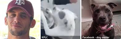 2021 Fatal Dog Attack Breed Identification Photographs