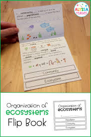 Pin By Karissa Rudloff On Teach Science In 2020 Ecosystems Flip Book Ecosystems 4th Grade