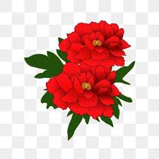 10,774 best watercolor floral ✅ free vector download for commercial use in ai, eps, cdr, svg vector illustration graphic art design format.watercolor flower, watercolor, floral, watercolor background, floral pattern, watercolor rose, watercolor splash, flowers, watercolor floral pattern. Grace Rhododendron Images Rhododendron Grace Flowers Png Transparent Background