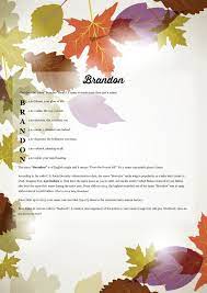 The Namemeaning Of Brandon Using Maple Leaves From The Project Pack Nature Unique Giftideas And Personaliz Names With Meaning Brandon Name The Way You Are