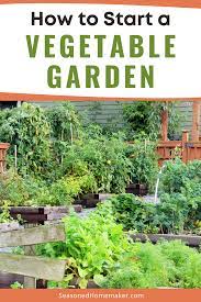 How To Start A Vegetable Garden Starting A Vegetable Garden Vegetable Garden For Beginners Garden Layout Vegetable