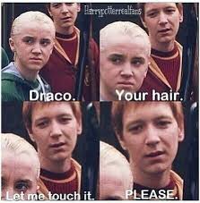 15 Draco Memes Guaranteed To Make Potterheads Laugh Out Loud Harry Potter Jokes Harry Potter Puns Harry Potter Draco Malfoy
