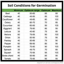 planting seeds how to start seedlings to get a jump on your