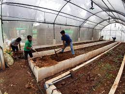 Marikina (/mərɪˈkɪnə/), officially the city of marikina (tagalog: Manila Boystown Complex In Marikina To Have An Urban Garden Manila Bulletin