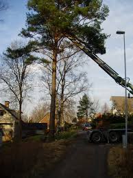 Image result for site:byggahus.se trädfällning