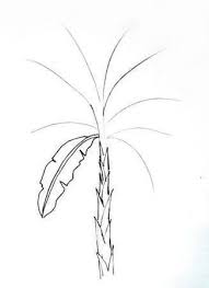 Gambar sketsa pohon sagu manfaat khasiats gambar sketsa pohon sagu posted 22 december 2020 1 06 berikut ini beberapa pohon sagu dan informasi yang membahas mengenai sumber gambar : 40 Cara Menggambar Pohon Kelapa Pisang Cemara Mangga Mudah