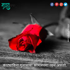 Pin By Sapna On Marathi Quotes Beautiful Red Roses Black And White Background Red Wallpaper
