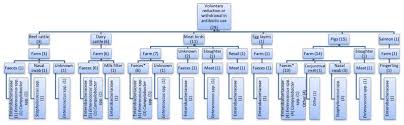 Restriction In The Use Of Antibiotics In Food Animals And Antibiotic Resistance In Food Animals And Humans A Systematic Review And Meta Analysis University Of Calgary Canada Who Guidelines On Use